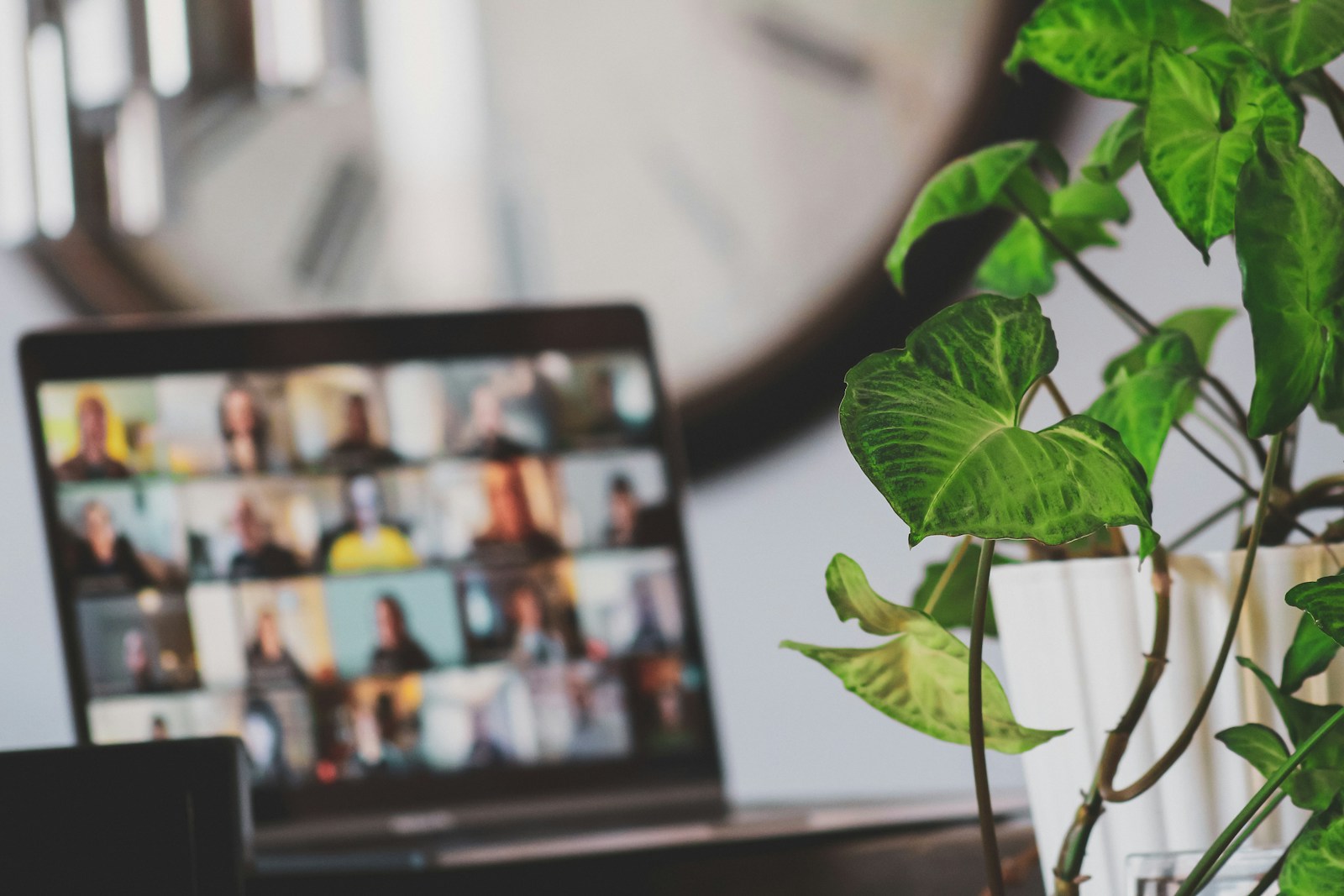 Foto online Peercouselen cursus